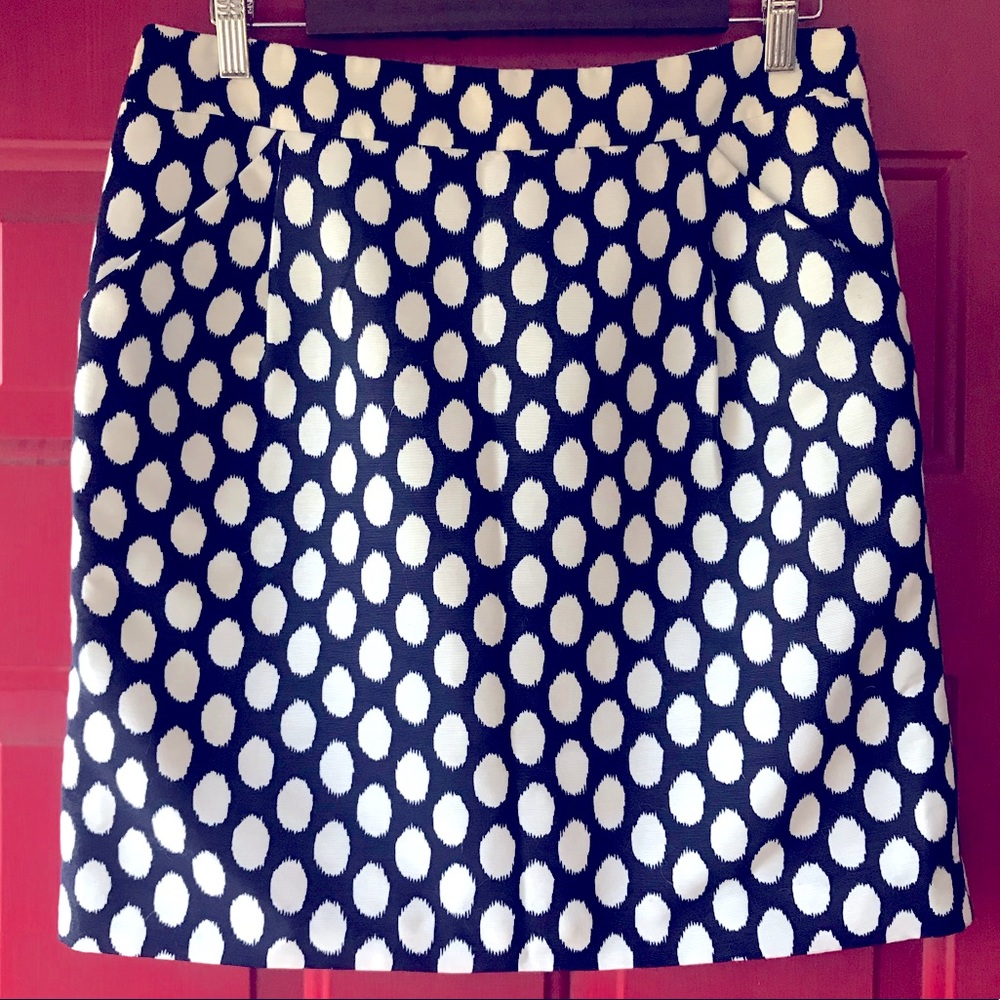 Ann Taylor Loft Skirt- Navy and White, Size 6